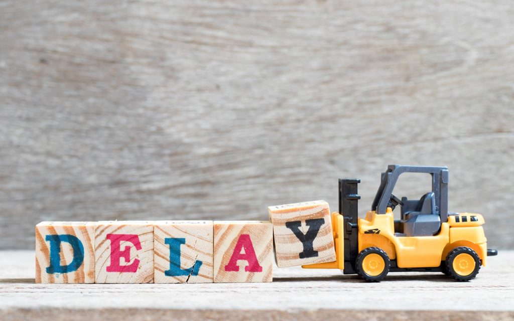 Project Delays